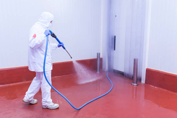 Best Soft Washing for Delicate Surfaces in La Villa, TX